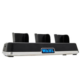 Stand de Charge Power Station Wahl